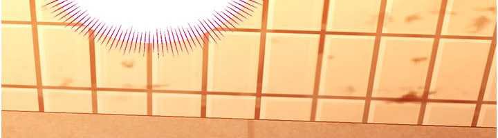 倒追遊戲第21話-在戶外裸體散步