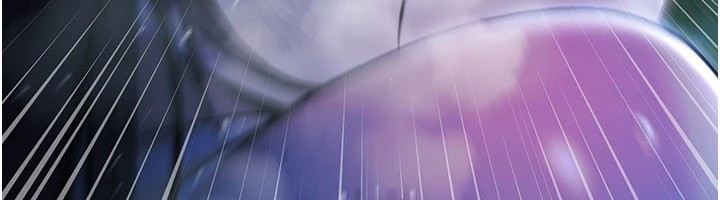 極樂泳池趴第1話-上流社會的隱密派對