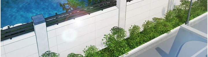 極樂泳池趴第1話-上流社會的隱密派對