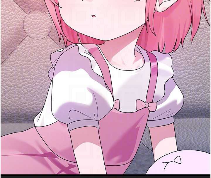 垃圾堆捡到宠物系萌妹第23話-哪裡才是棲身之地?