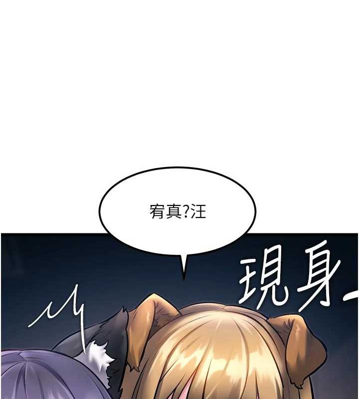 特色新視界第16話-主人是狗派還是貓派?