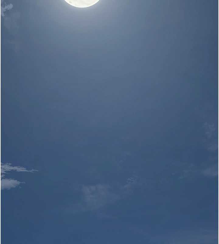 花容濕色:取花點第80話-秋香小姐是屬於我的