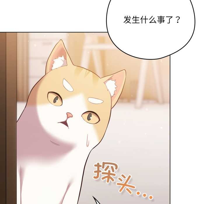 喵來的戀愛第46話