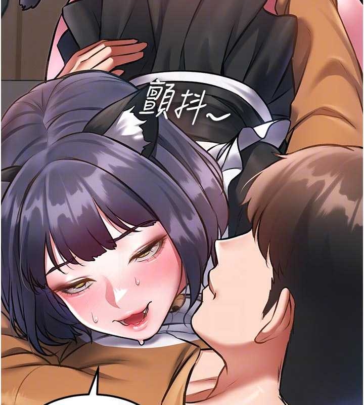 特色新视界第17話-馴服野貓守則