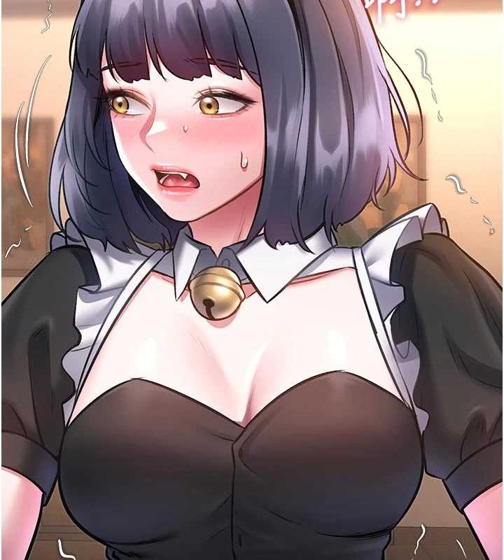 特色新视界第17話-馴服野貓守則