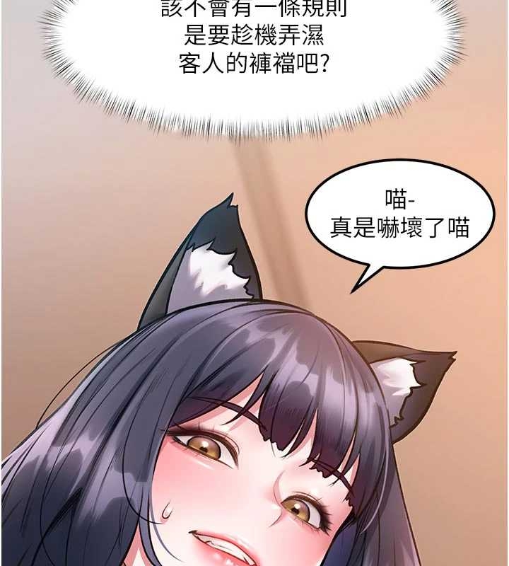 特色新视界第17話-馴服野貓守則