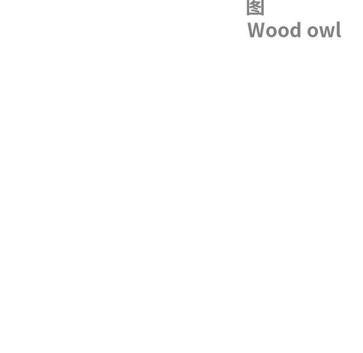 最强男人第54話