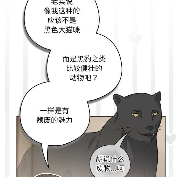 喵来的恋爱第49話