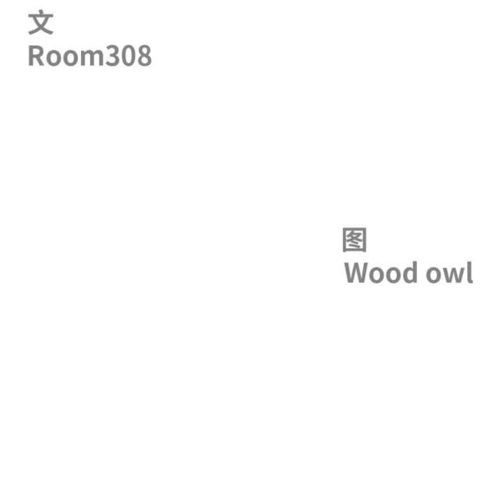 最強男人第55話