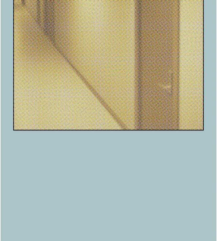 不要戀愛要打砲第25話-得不到的女人