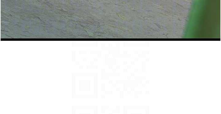 命运:贞洁慾女第70話-風流採花賊驚成刀下魂?!