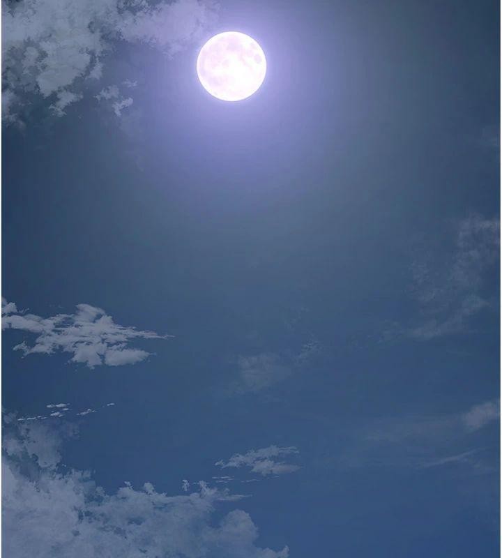 花容湿色:取花点第89話-妳愚弄我的代價