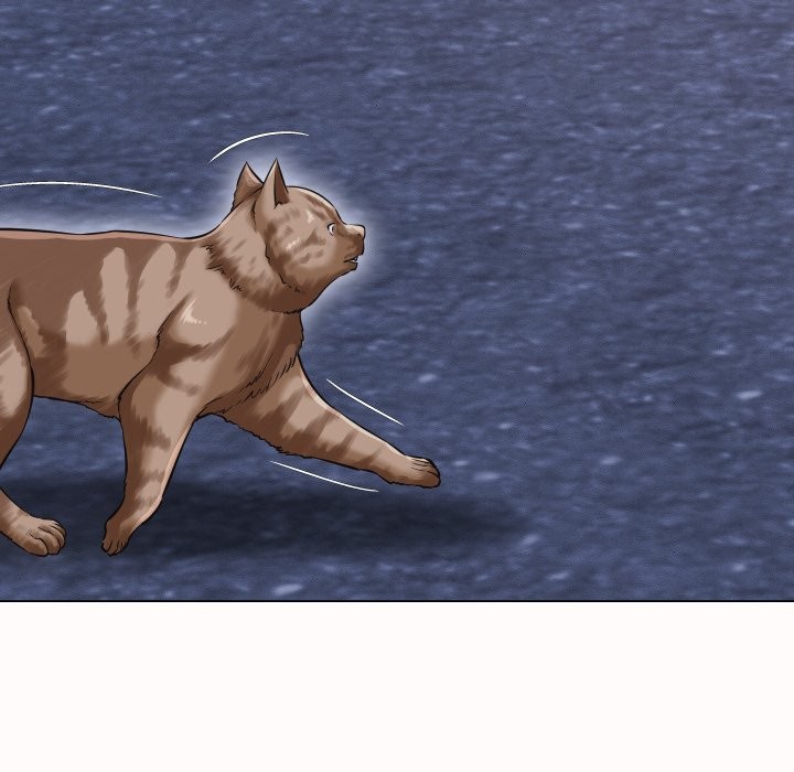 她们的夜晚属于我第25話