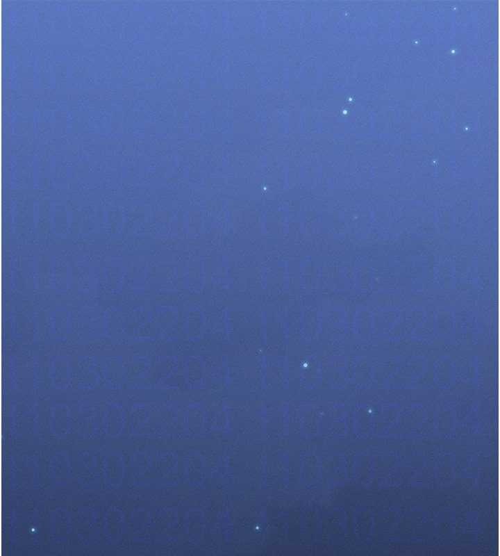 等价交换人生第50話-我們結婚吧