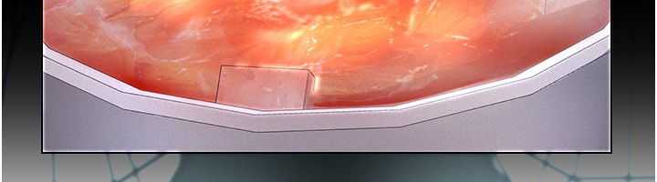 义父第3話-渴望自由的籠中鳥