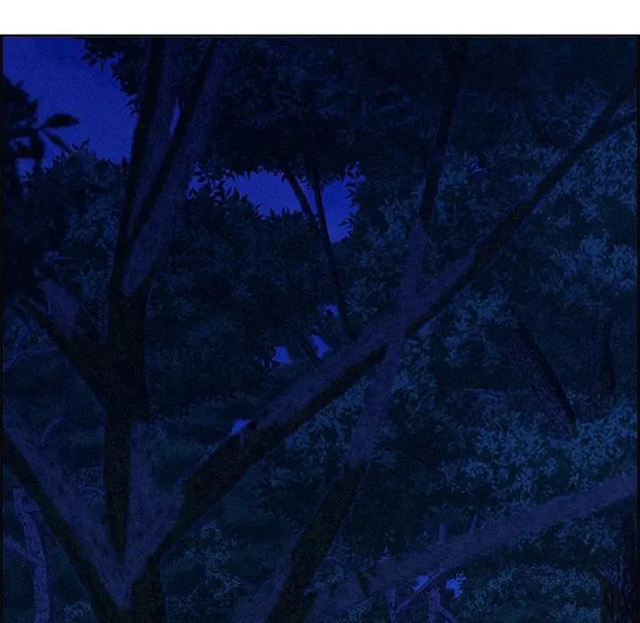 贵妇的专属保镳第12话