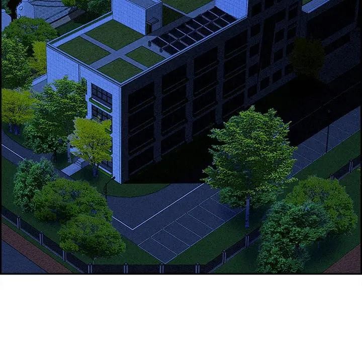 贵妇的专属保镳第14话