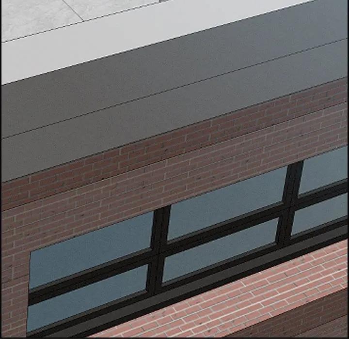 贵妇的专属保镳第16话