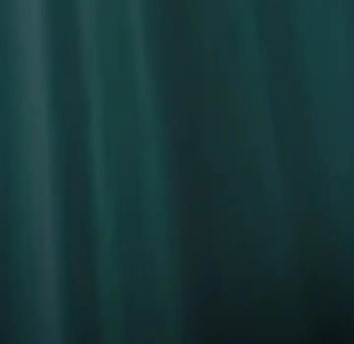 黑帮千金养成记第17話