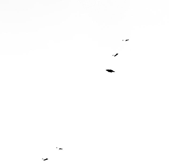 男人稀缺的异世界第27話