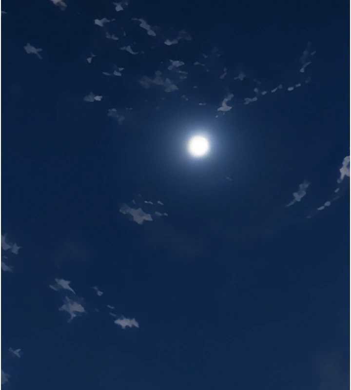 义父第12話-掏空計畫開始