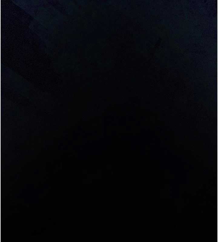 义父第12話-掏空計畫開始